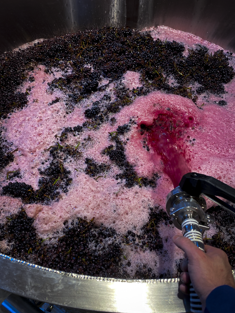 PCo Wine Transfer